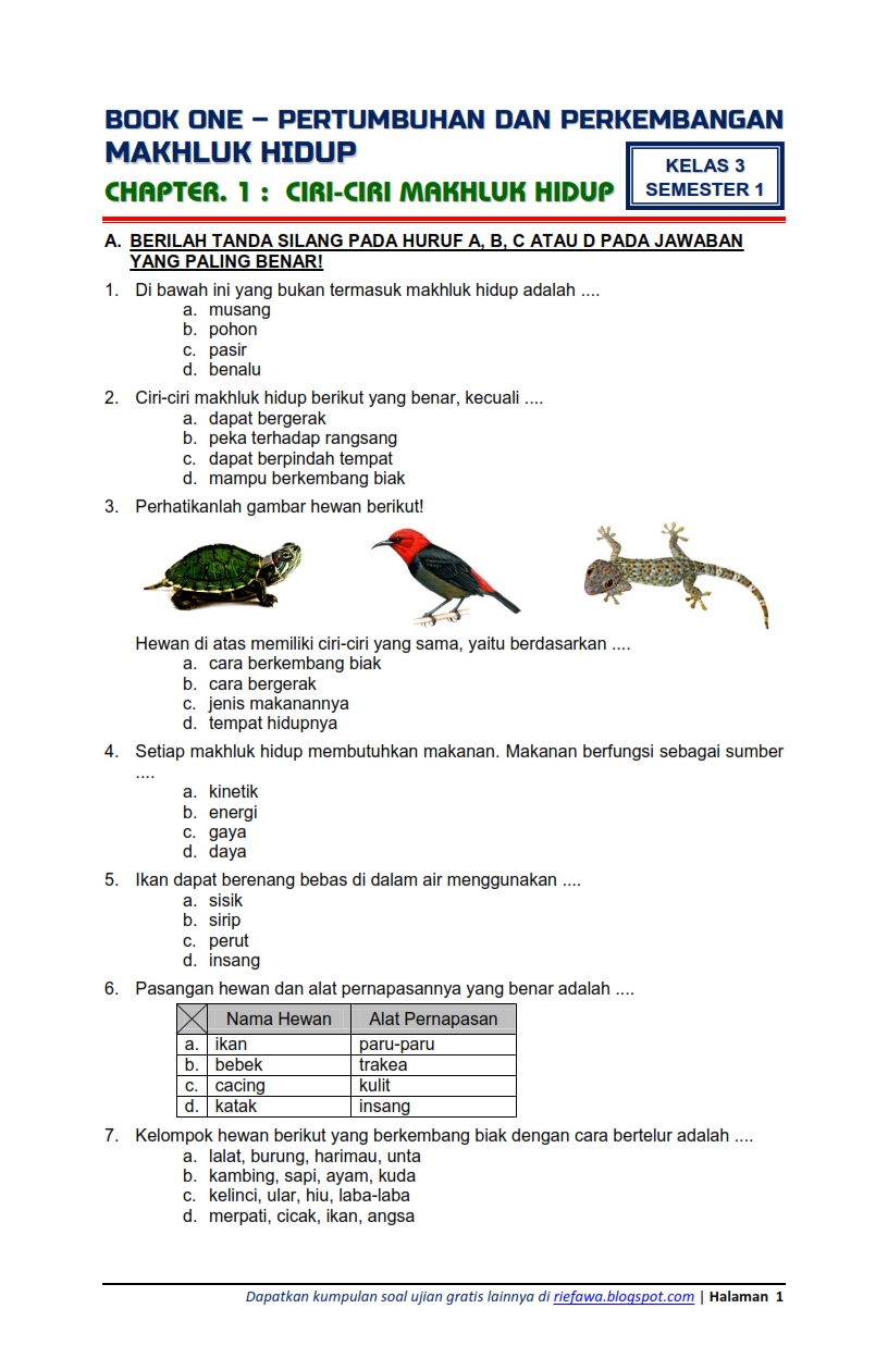 Panduan Lengkap Download Soal Tematik Kelas 3 Tema 1: Persiapan Belajar yang Efektif dan Menyenangkan