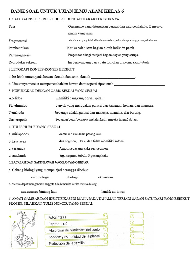 Bank Soal Ujian Ilmu Alam Kelas 6 PDF