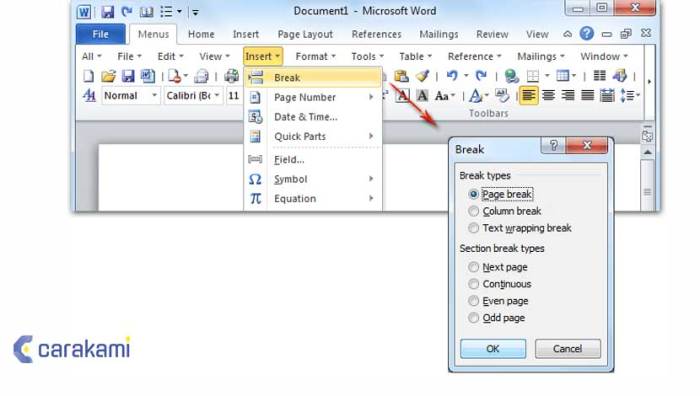 Cara Menambahkan Halaman Di Word 2010 Panduan Lengkap Dan Mudah - Identif Cara Menambahkan Halaman Di Word 2010 Panduan Lengkap Dan Mudah - Identif