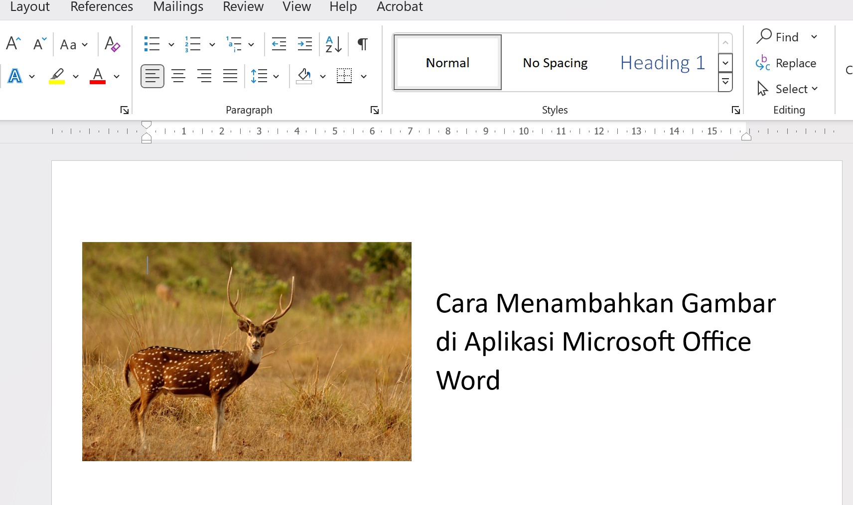 Aplikasi Foto Windows 11 Menambahkan Lebih Banyak Efek Gambar Emka Web Aplikasi Foto Windows 11 Menambahkan Lebih Banyak Efek Gambar Emka Web